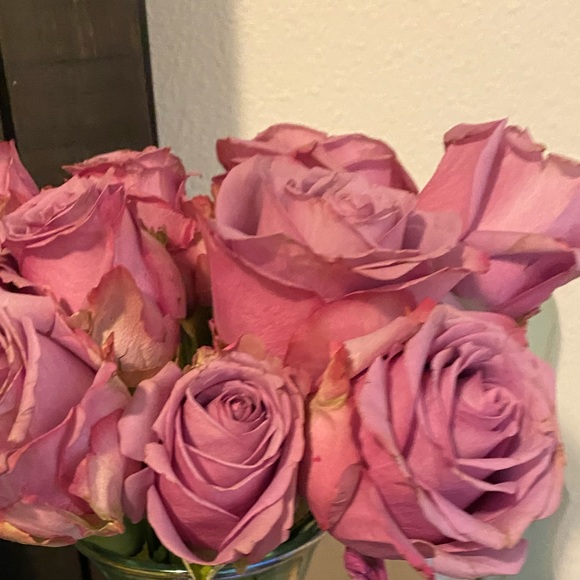 kristymannin796